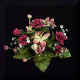 roseapplemix.jpg(21209Ʈ)